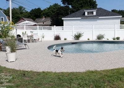 A dog running by a curved swimming pool built by a professional pool company in a fenced backyard with outdoor furniture.