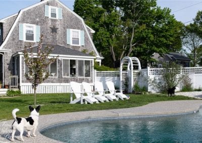 A cat walks by a swimming pool designed by a prestigious pool company in a well-manicured backyard with a traditional house and white picket fence in the background.